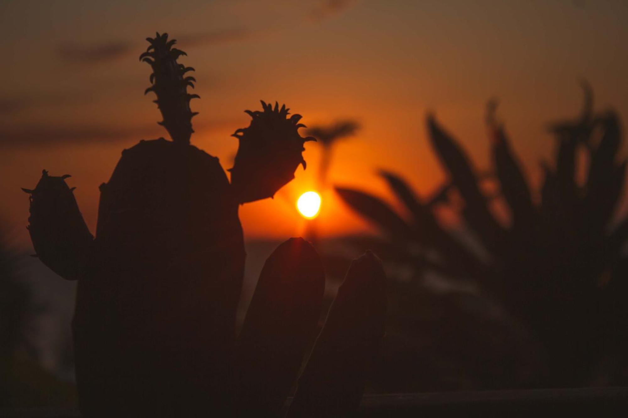 Coucher De Soleil Ambatoloaka  Kültér fotó